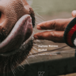 meatball_dimitris_foutsias