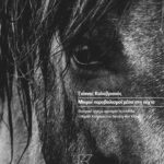 kalavrianos_Mikroi_pyrovolismoi_mesa_sti_nyxta