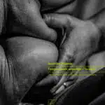 kitos_cover_protaseis.cdr