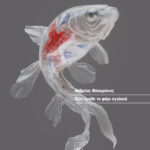 ΠΩΣ ΕΜΑΘΕ ΤΟ ΨΑΡΙ ΑΓΓΛΙΚΑ | ΑΝΔΡΕΑΣ ΦΛΟΥΡΑΚΗΣ