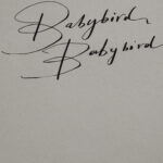 DOC_Babybird_NEW