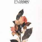WHERE QUIET BLOOMS