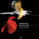 ΕΞΩ ΑΠΟ ΤΗ ΓΥΑΛΑ