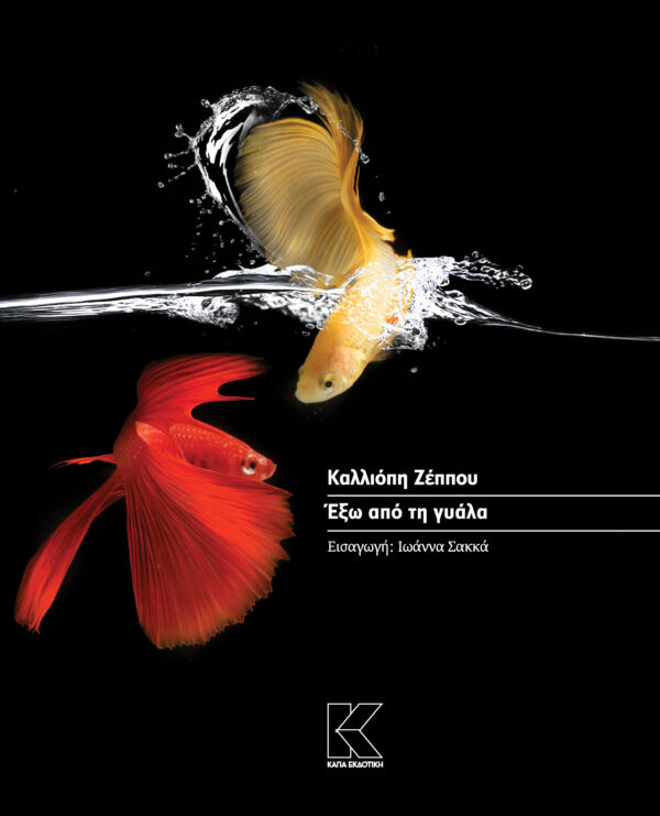 ΕΞΩ ΑΠΟ ΤΗ ΓΥΑΛΑ