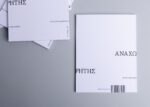 257A2043 copy