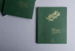 257A3182 copy